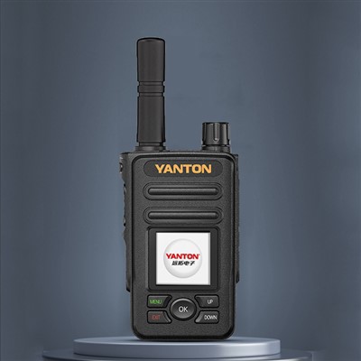 Push-to-Talk IP-mobiilraadio kaudu